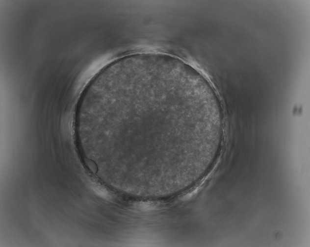 X0000094440103200712061147