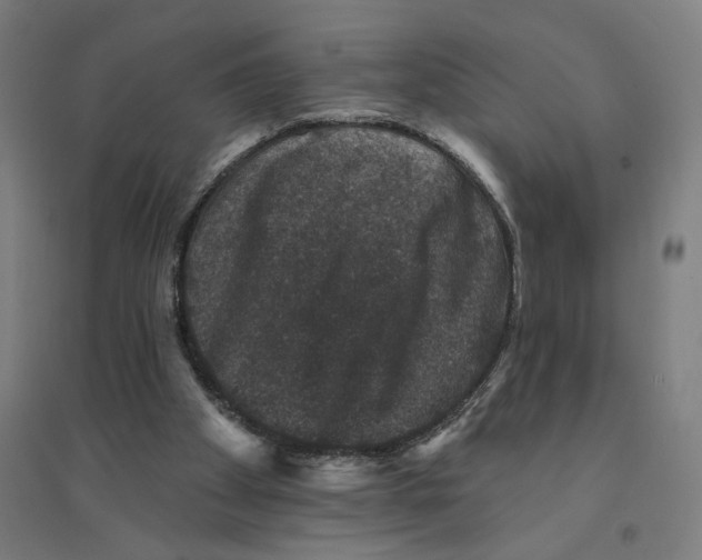 X0000094440105200712061147