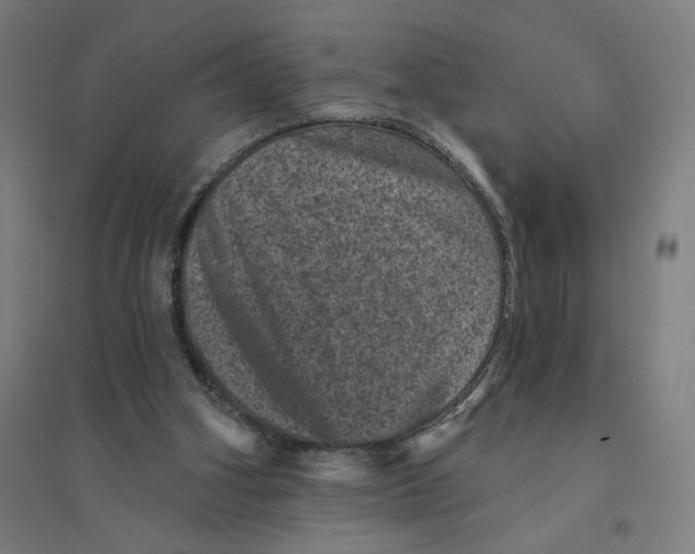 X0000094440106200712061147