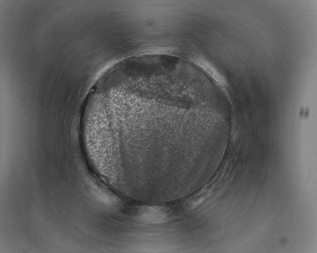 X0000094440107200712061147