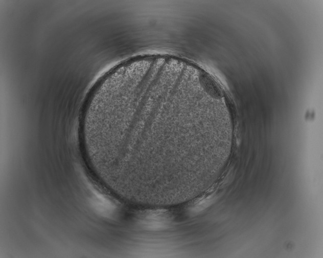 X0000094440108200712061147