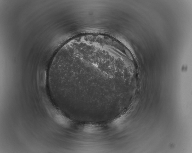 X0000094440109200712061147