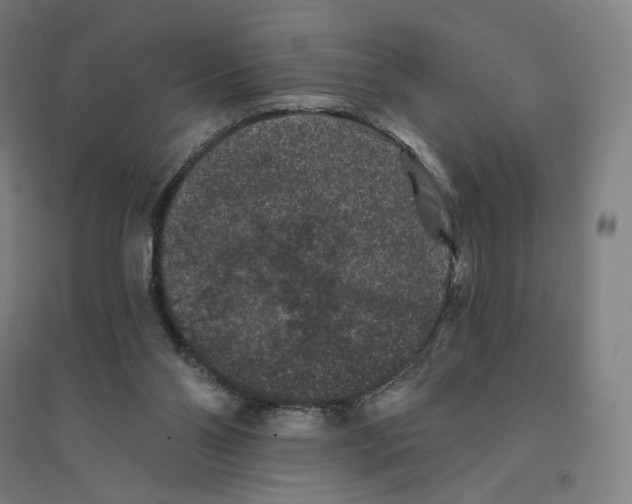 X0000094440110200712061147