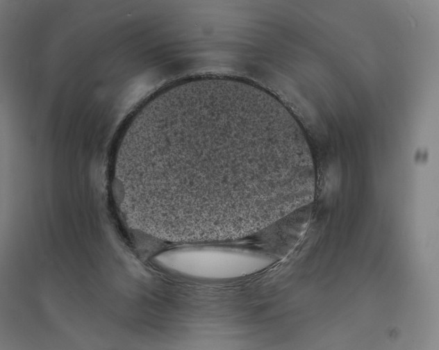 X0000094440112200712061147