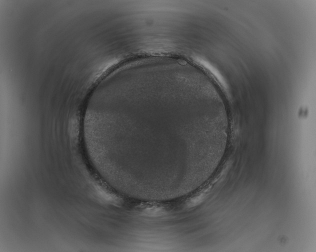 X0000094440113200712061147