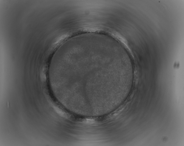 X0000094440114200712061147