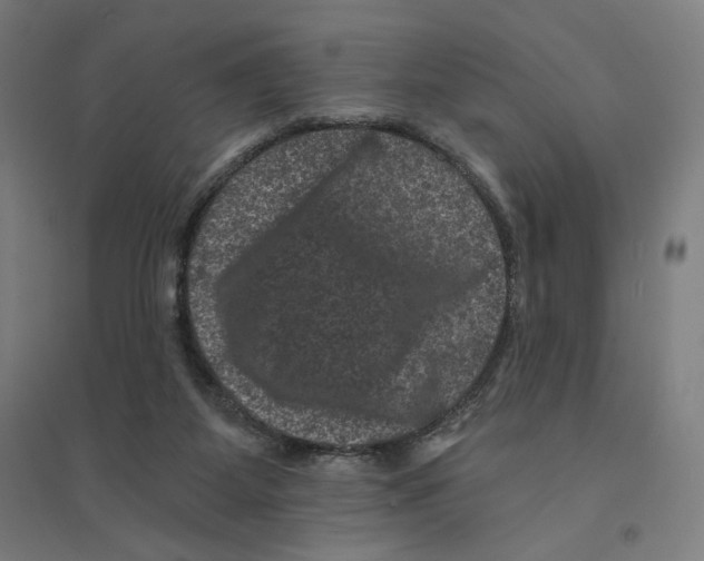 X0000094440115200712061147