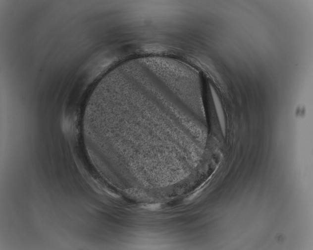 X0000094440116200712061147