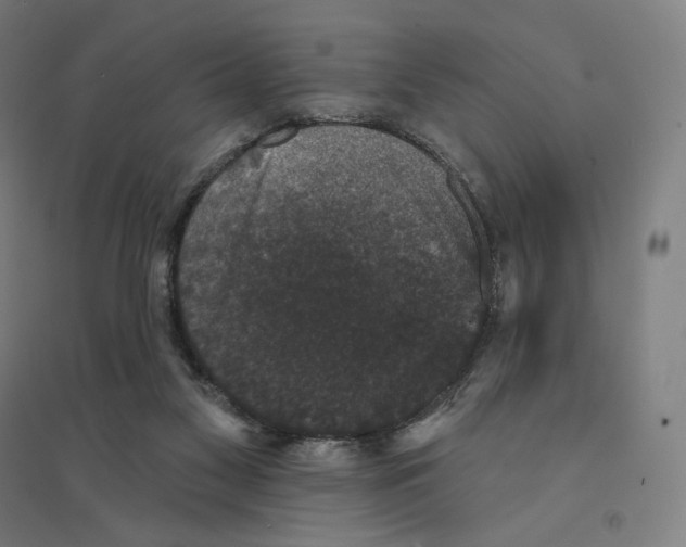 X0000094440117200712061147