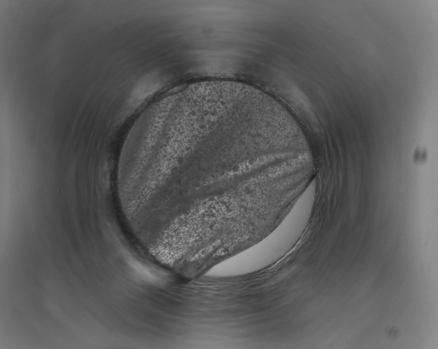 X0000094440120200712061147