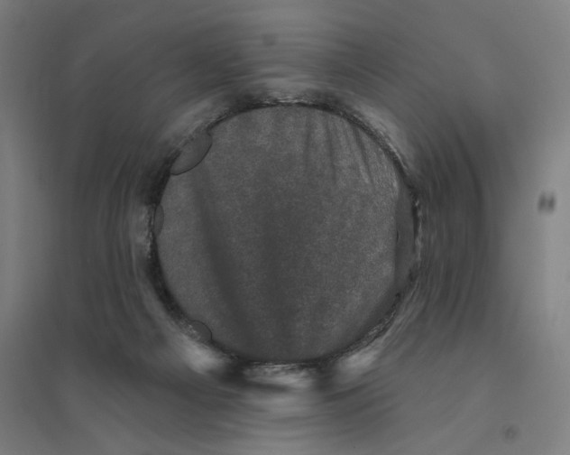 X0000094440121200712061147