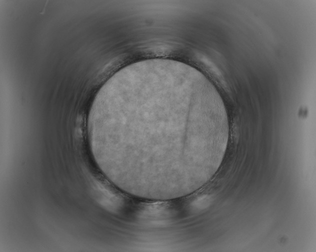 X0000094440122200712061147