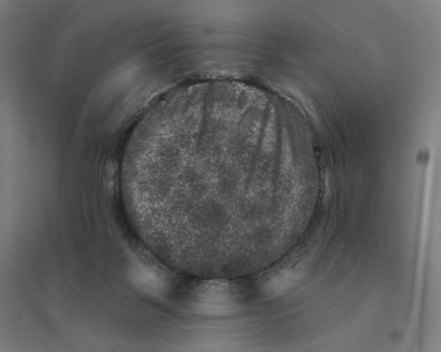 X0000094440123200712061147