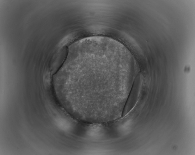 X0000094440124200712061147