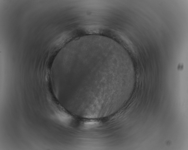 X0000094440125200712061147