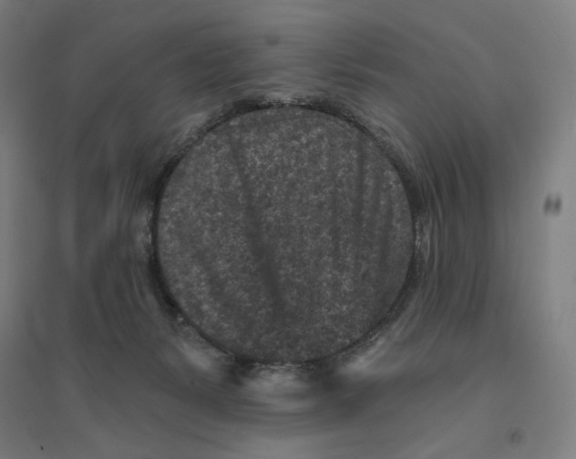 X0000094440127200712061147