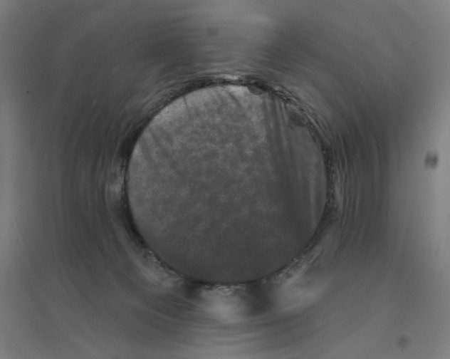 X0000094440129200712061147