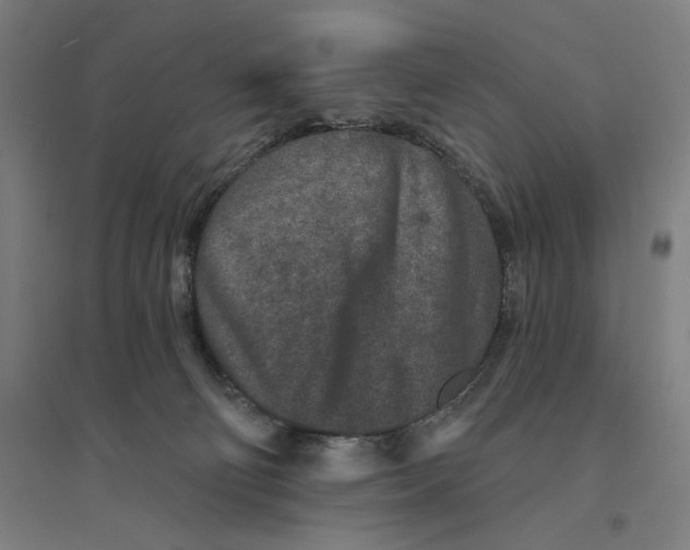 X0000094440130200712061147