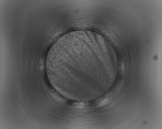 X0000094440131200712061147