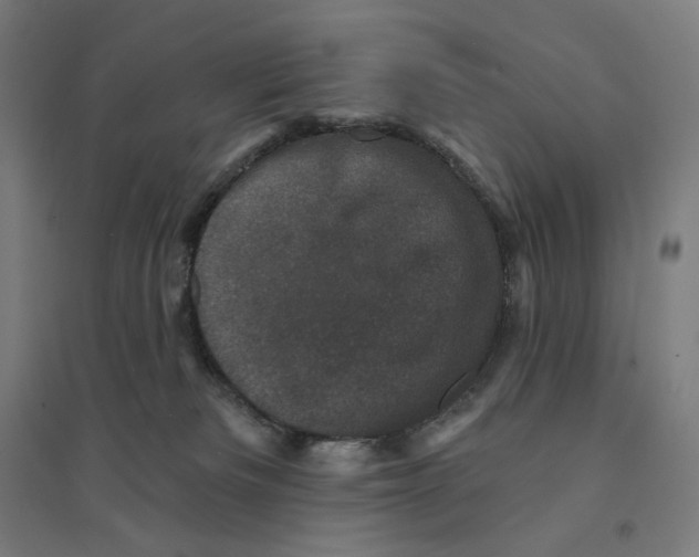 X0000094440133200712061147