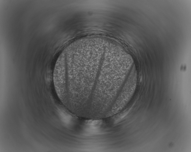 X0000094440135200712061147