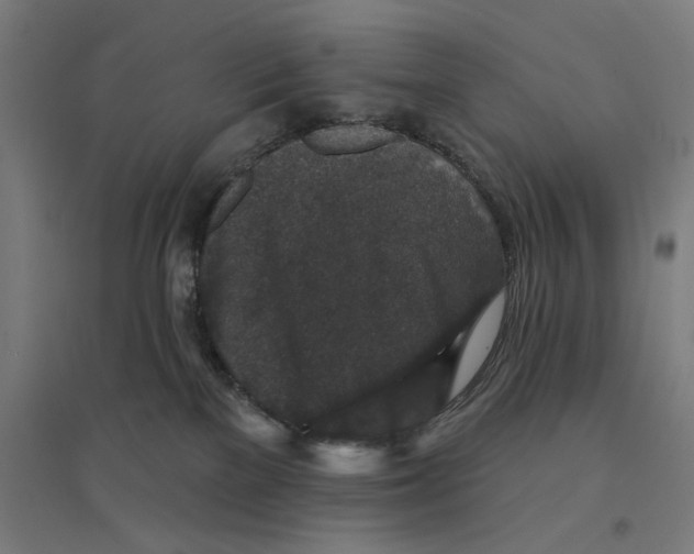 X0000094440137200712061147