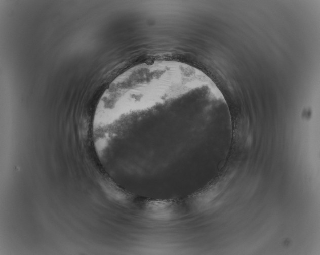 X0000094440139200712061147