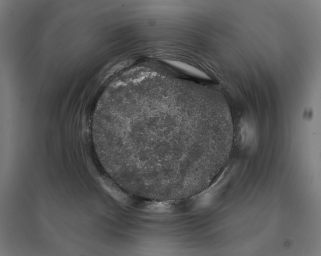 X0000094440140200712061147