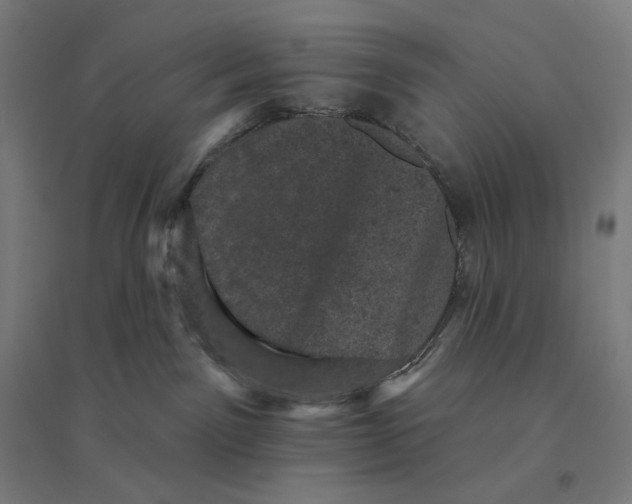 X0000094440141200712061147