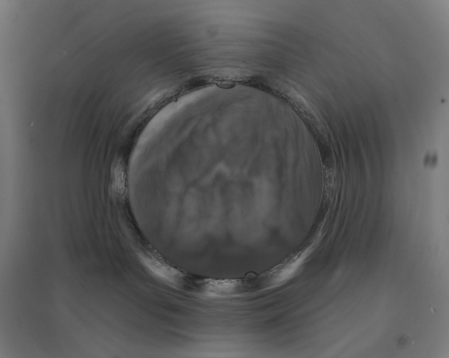 X0000094440143200712061147