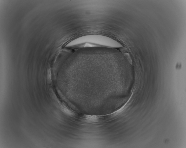 X0000094440144200712061147