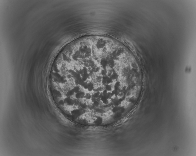 X0000094440145200712061146