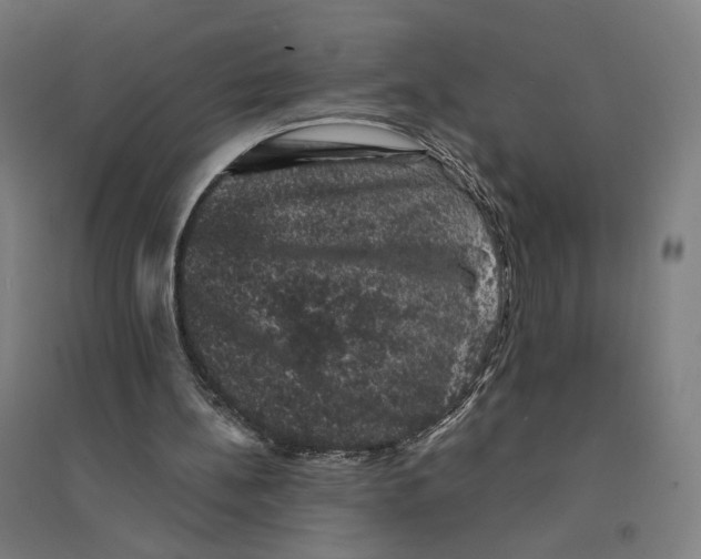 X0000094440148200712061146