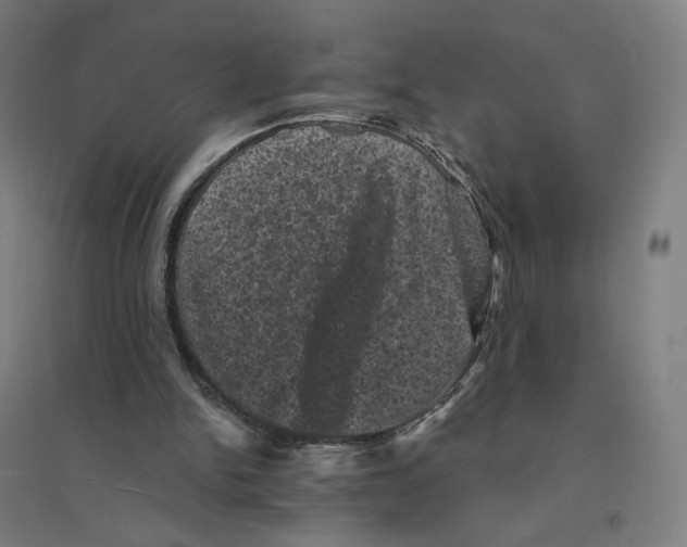 X0000094440150200712061146