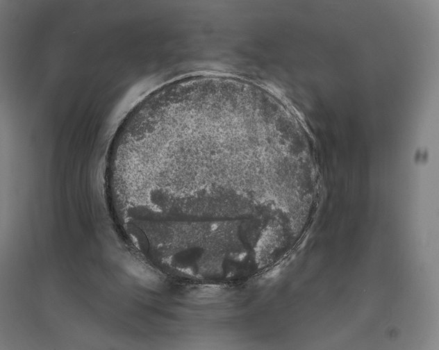 X0000094440151200712061146