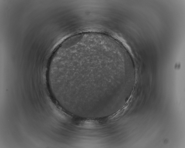 X0000094440154200712061146