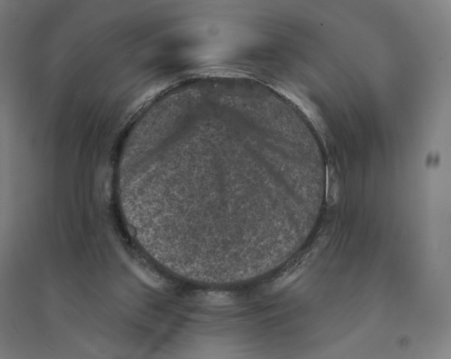 X0000094440157200712061146