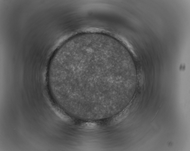 X0000094440159200712061146