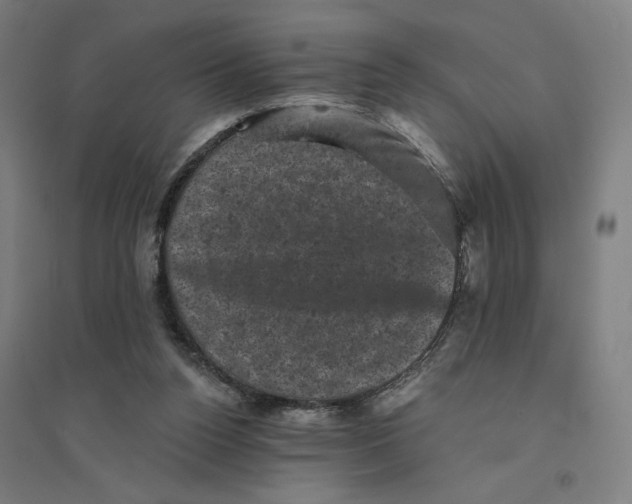 X0000094440160200712061146