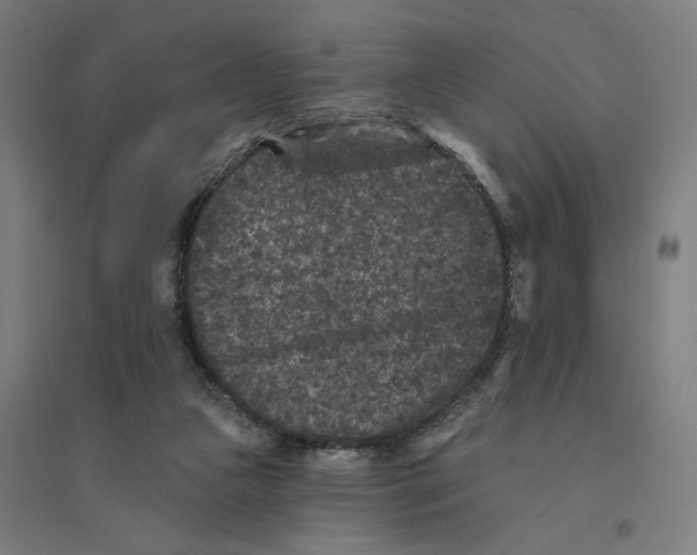 X0000094440161200712061146