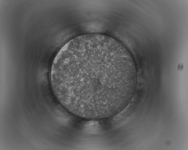 X0000094440162200712061146