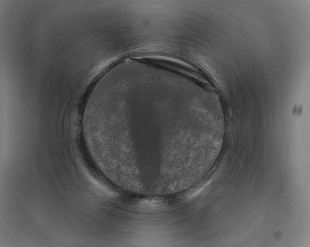 X0000094440164200712061146