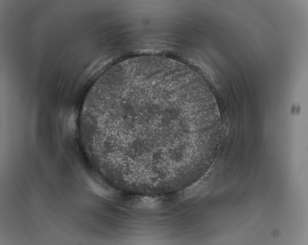 X0000094440166200712061146