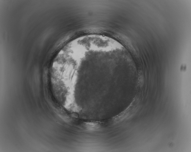 X0000094440167200712061146