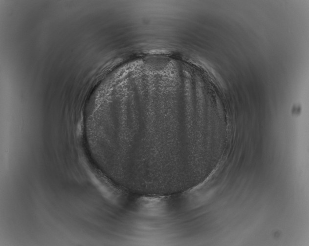 X0000094440170200712061146