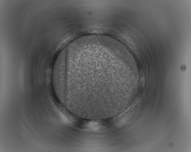 X0000094440171200712061146