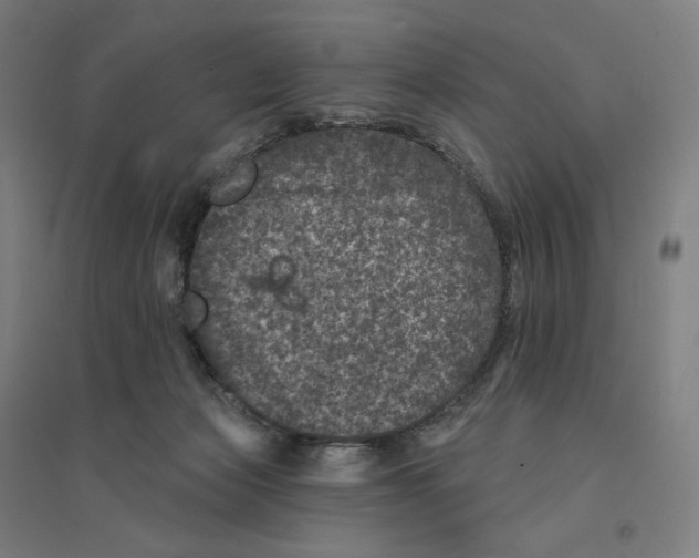 X0000094440173200712061146