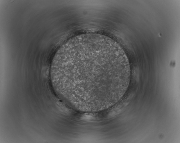 X0000094440177200712061146