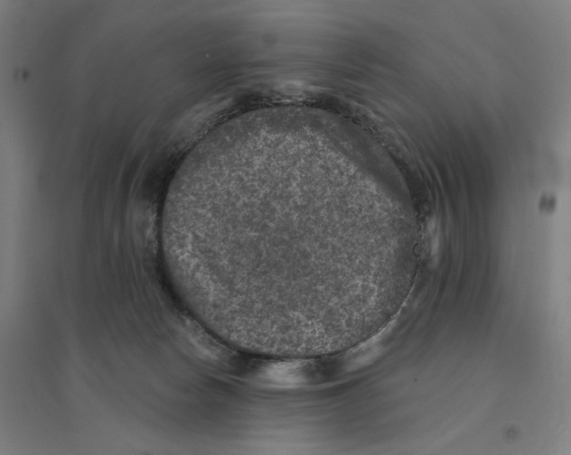 X0000094440178200712061146