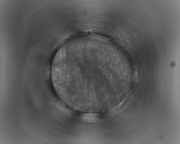 X0000094440179200712061146